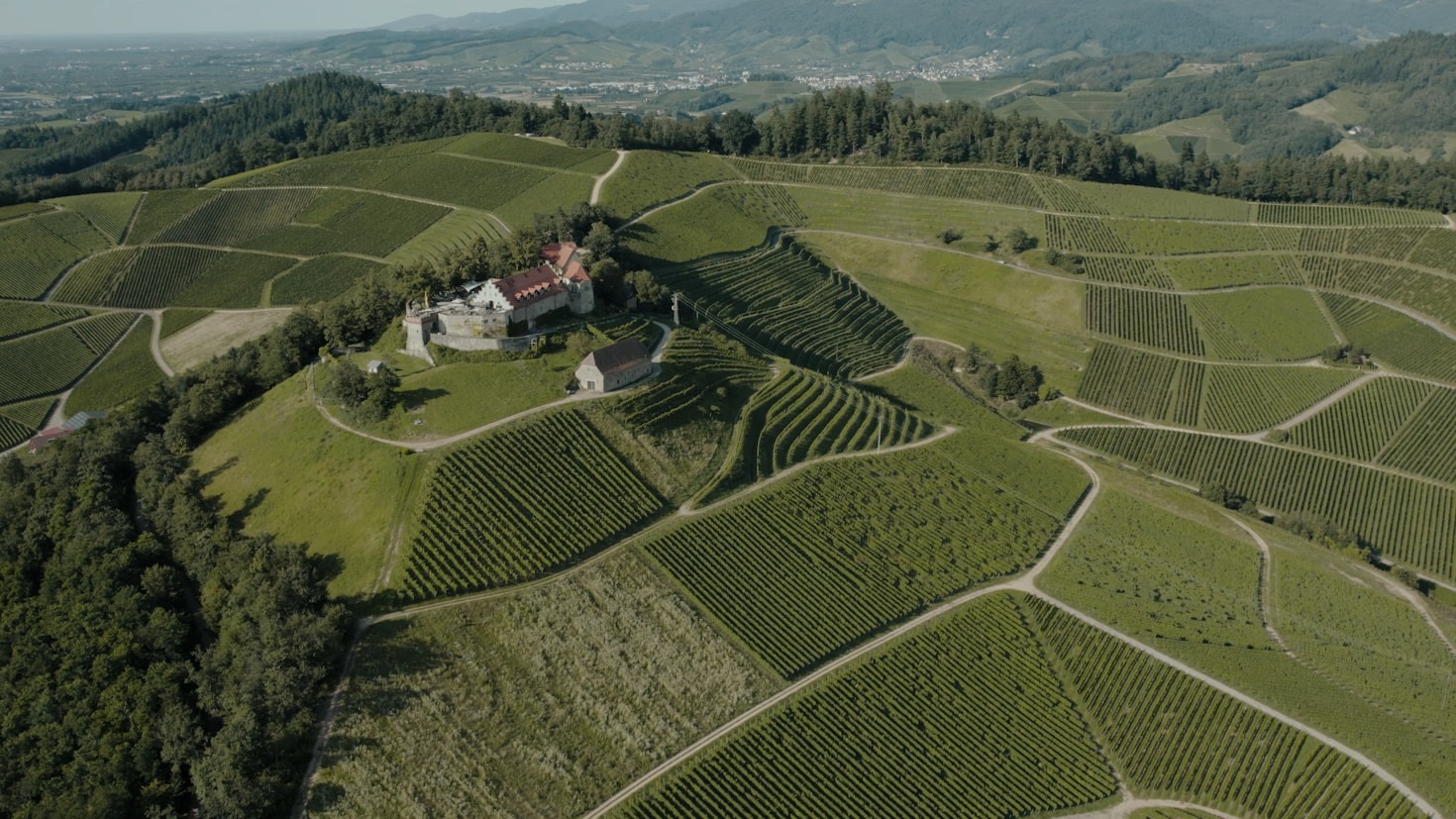 Abbinamenti perfetti per i nostri vini