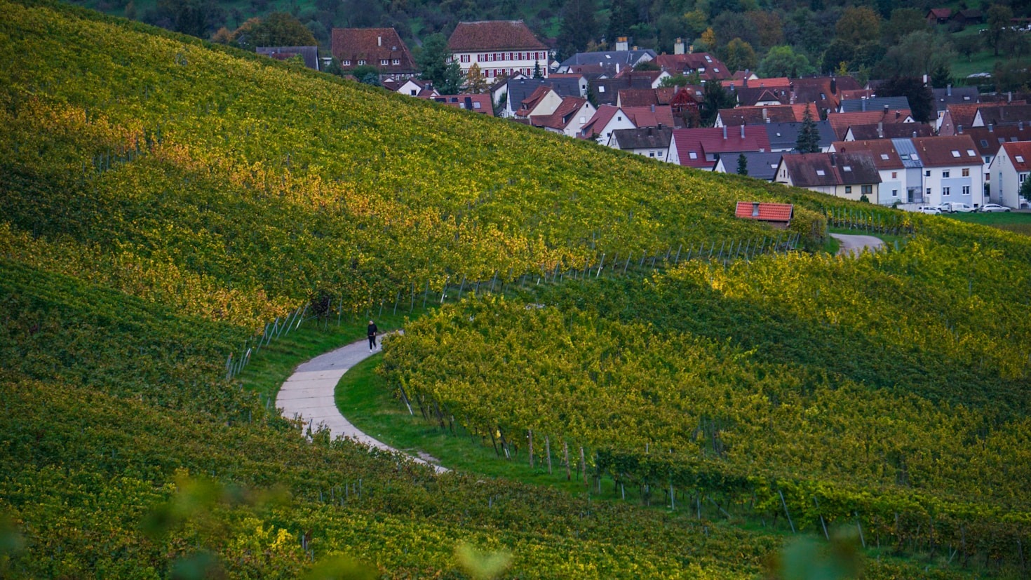 Viaggio visivo tra le colline pavesi