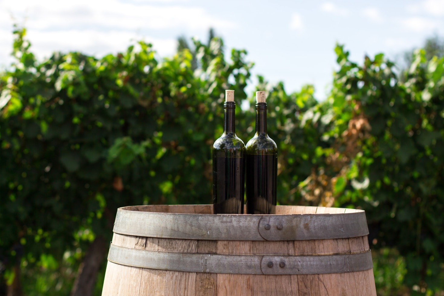 L’importanza del terroir per il rosso